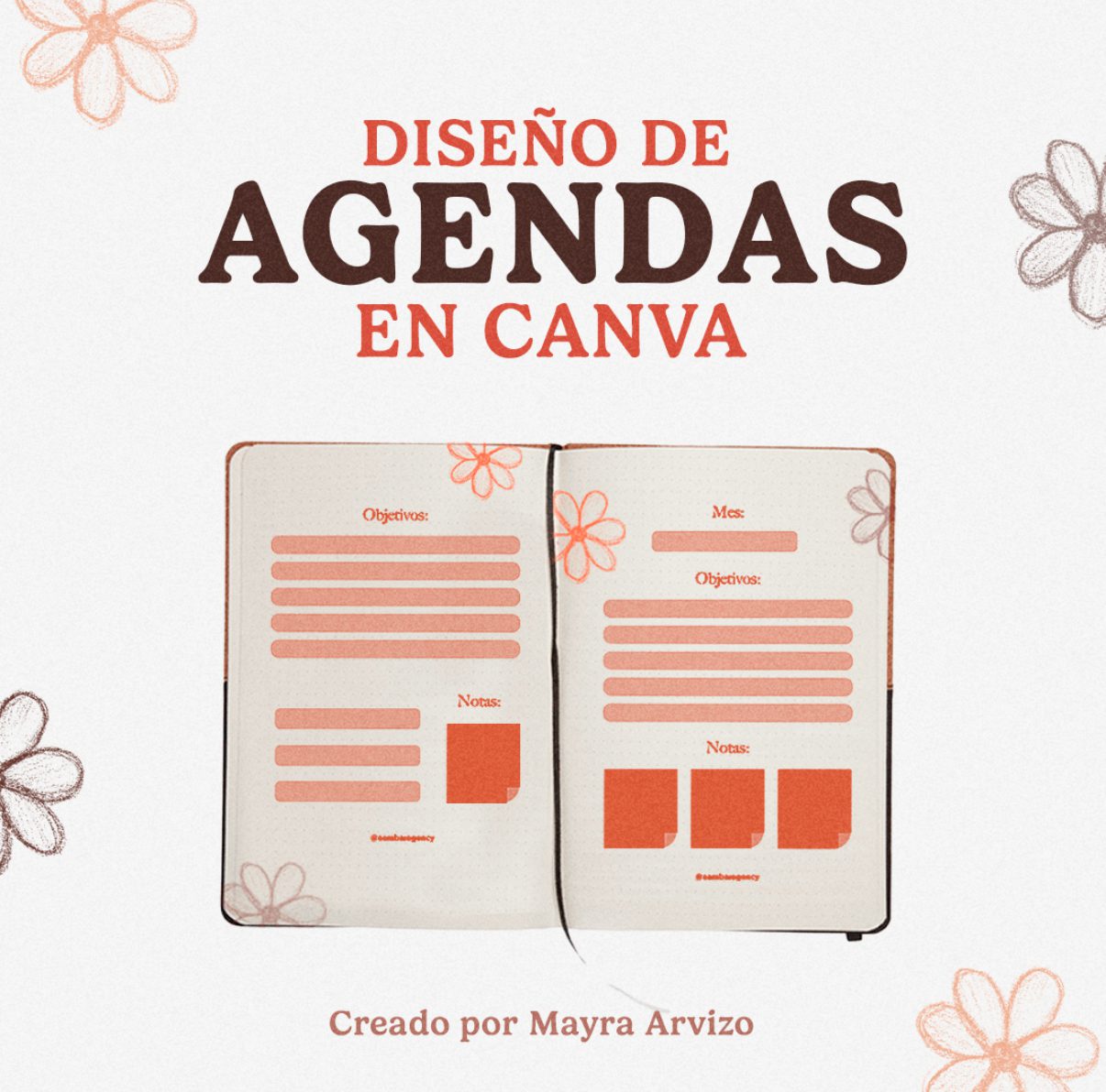 Cursoagendasmayraarvizo